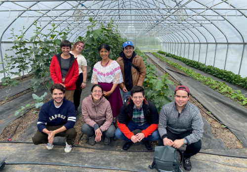 Exploring Exchange Programs in Central Ohio: An Expert's Guide